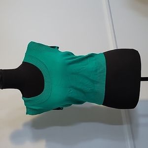 Express Sleeveless Green Sweater